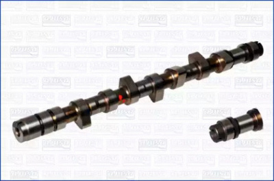 WILMINK GROUP wg1170825 -  Распредвал